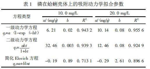 磷在蛤蜊殼體上的吸附動(dòng)力學(xué)擬合參數(shù)