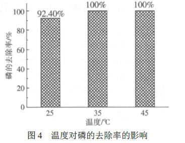 圖4 溫度對(duì)磷的去除率的影響