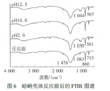 圖6 蛤蜊殼體反應(yīng)前后的FTIR 圖譜